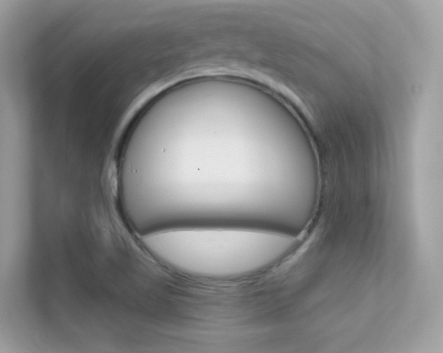 X0000112421509200908141035