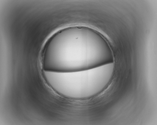 X0000112421510200908141035