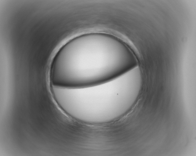 X0000112421512200908141035