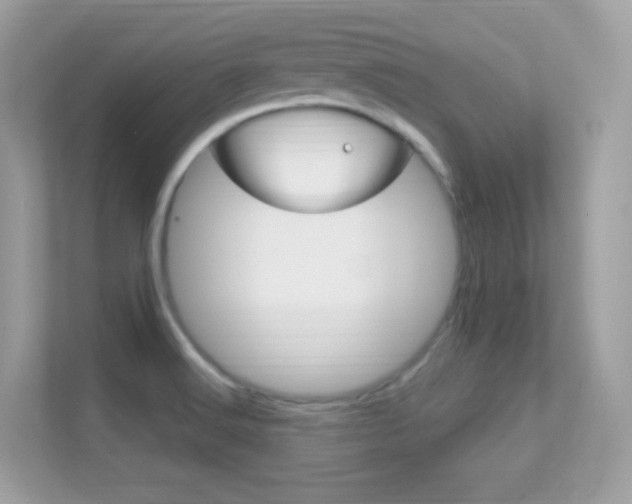 X0000112421516200908141035