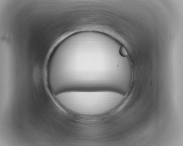 X0000112421517200908141035