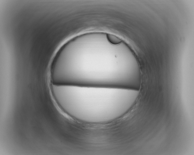 X0000112421519200908141035