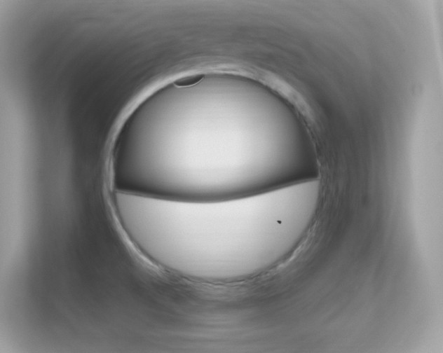 X0000112421520200908141035