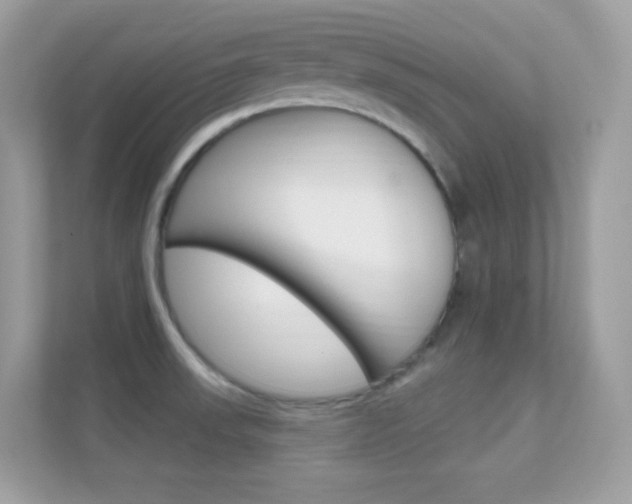 X0000112421523200908141035