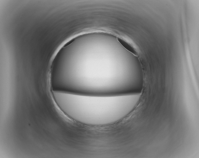 X0000112421524200908141035