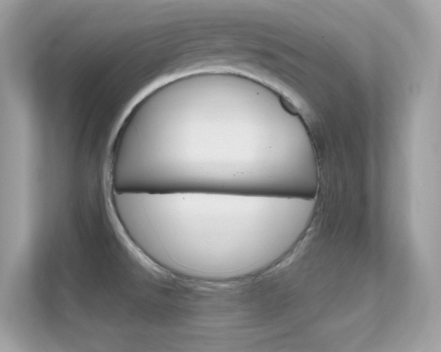 X0000112421526200908141035