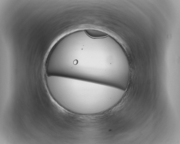 X0000112421527200908141035