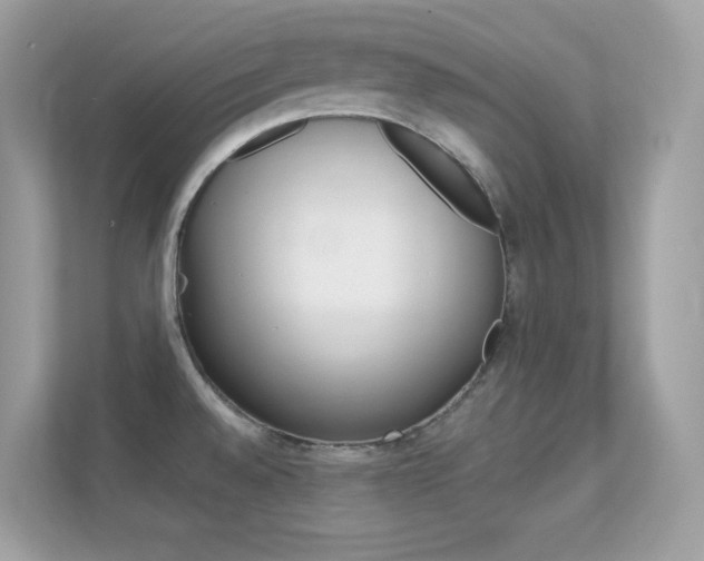 X0000112421528200908141035