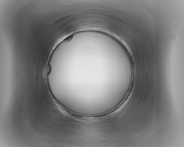 X0000112421529200908141035