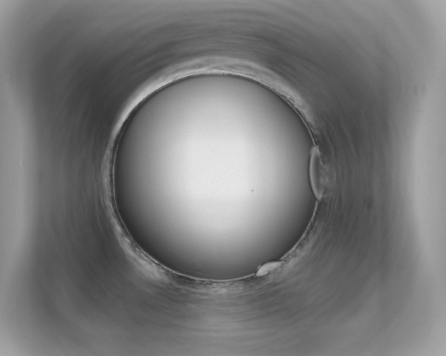 X0000112421530200908141035