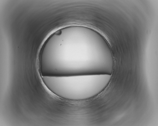 X0000112421531200908141035