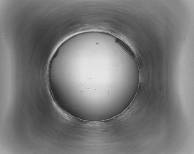X0000112421532200908141035