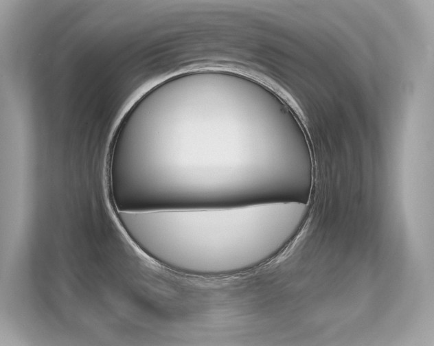X0000112421533200908141035