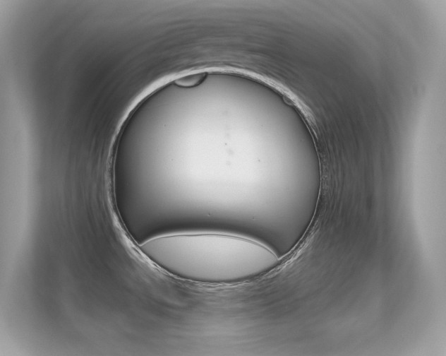 X0000112421534200908141035