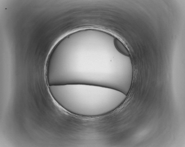 X0000112421535200908141035