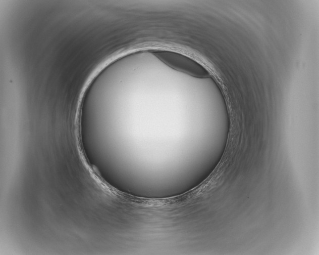 X0000112421536200908141035