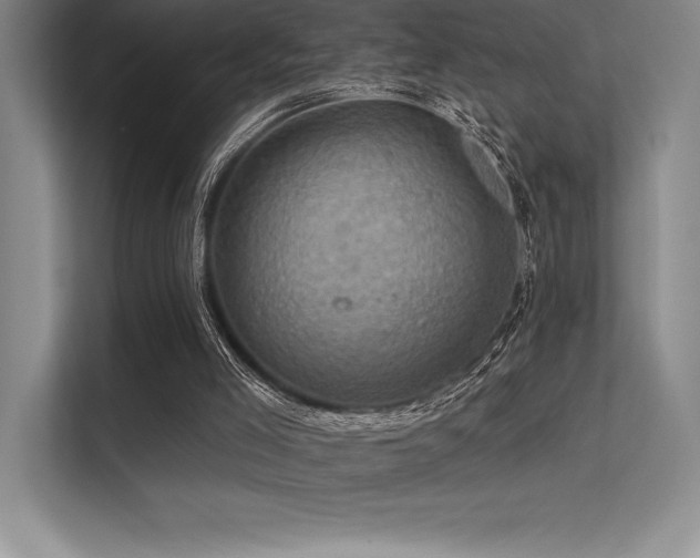 X0000112420005200908141420
