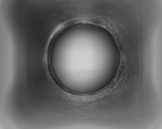 X0000112420006200908141420