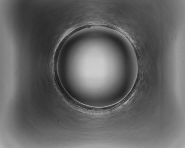 X0000112420008200908141420