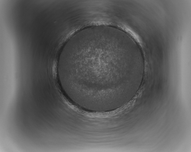 X0000112420009200908141420