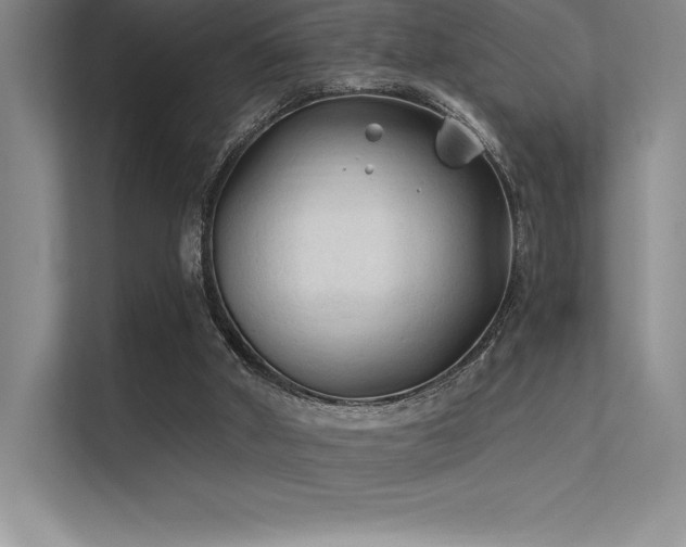 X0000112420010200908141420