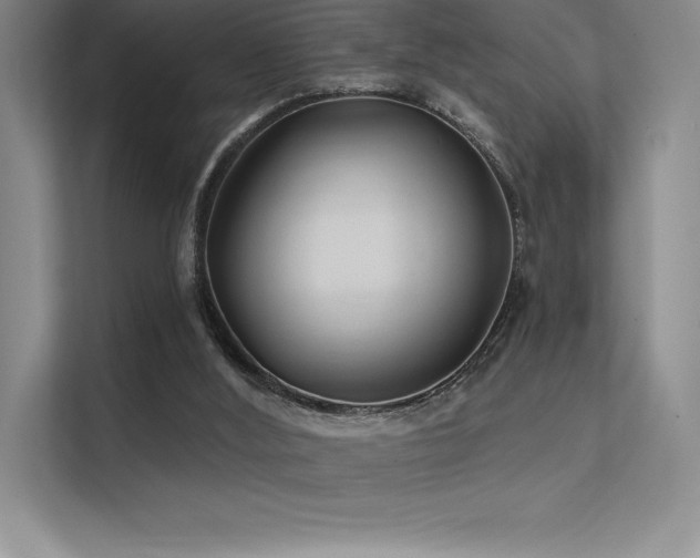 X0000112420012200908141420