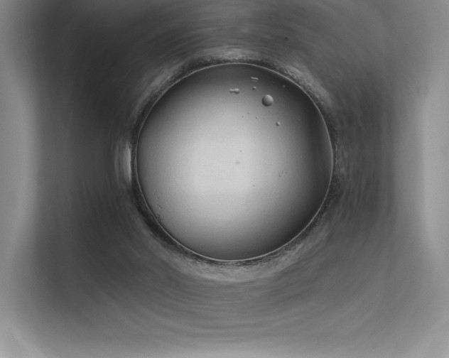 X0000112420014200908141420