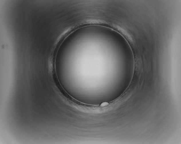 X0000112420015200908141420