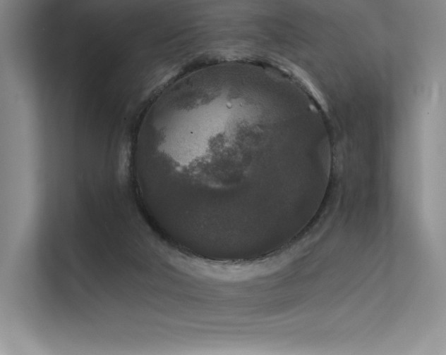 X0000112420018200908141420