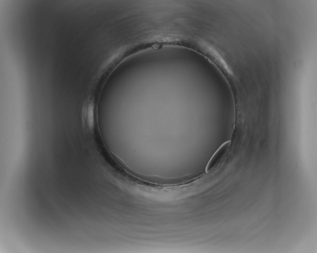 X0000112420019200908141420