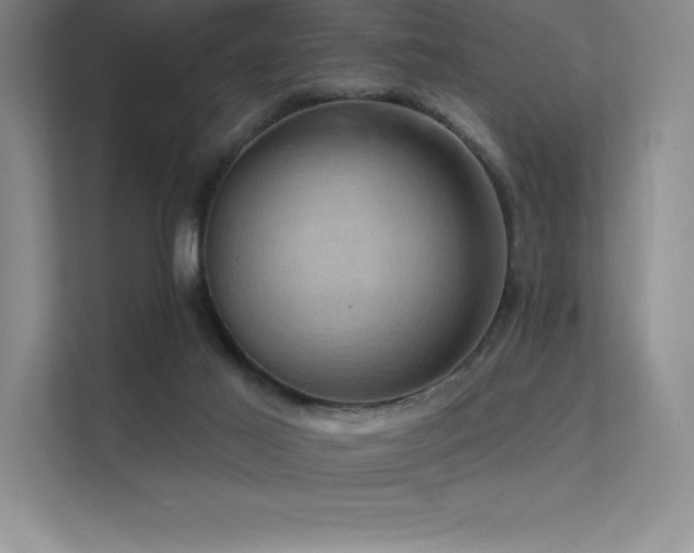 X0000112420021200908141420