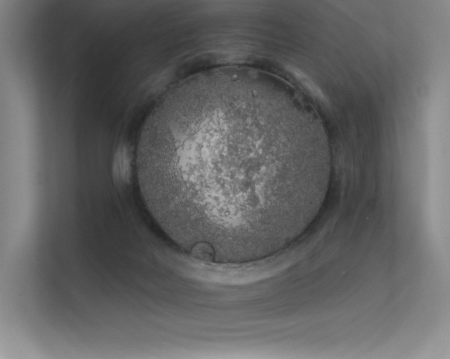 X0000112420026200908141420