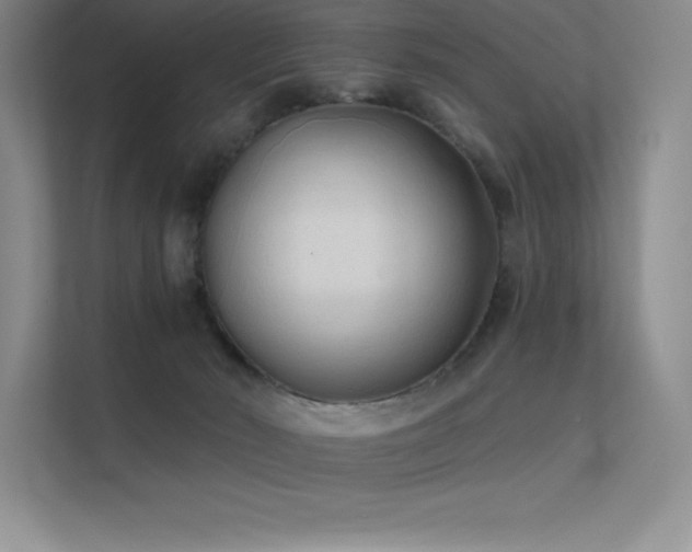 X0000112420030200908141420