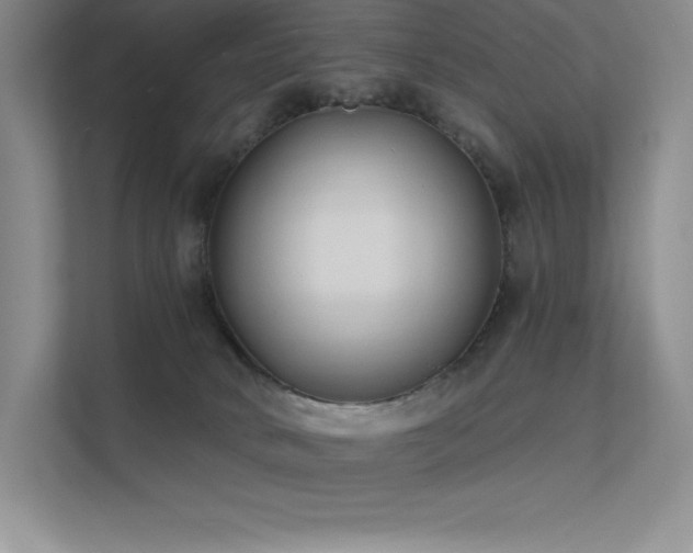 X0000112420034200908141420