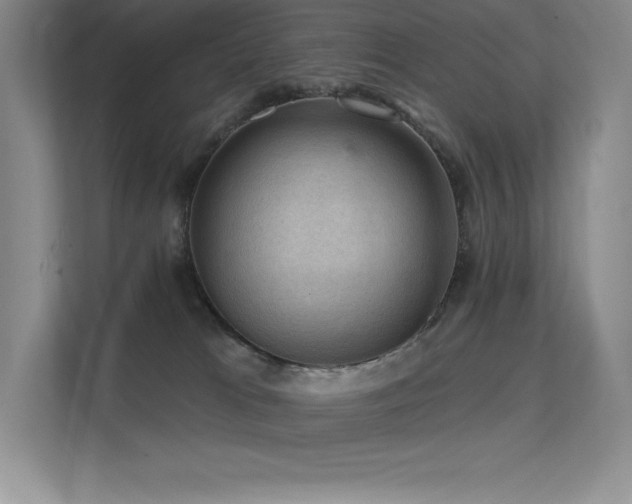 X0000112420037200908141420