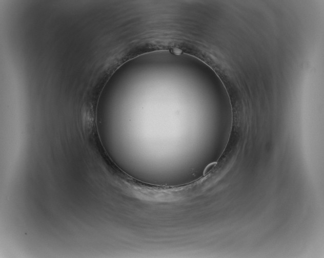 X0000112420040200908141420