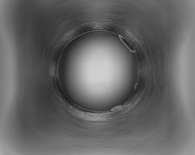 X0000112420044200908141420