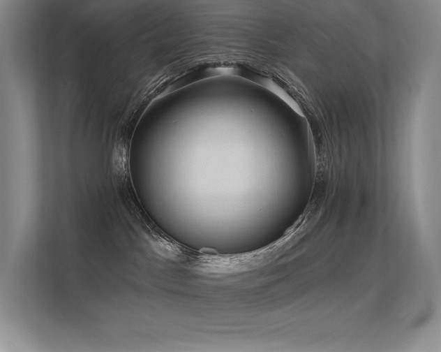 X0000112420045200908141419