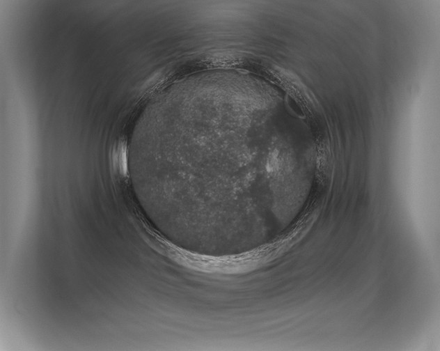 X0000112420046200908141419