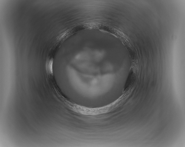 X0000112420047200908141419
