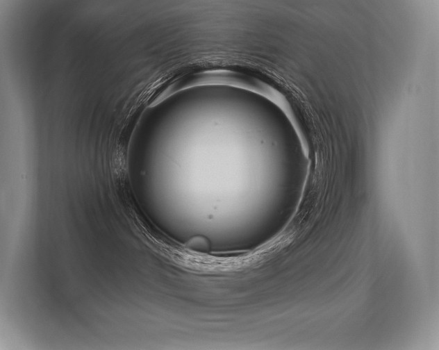 X0000112420048200908141419