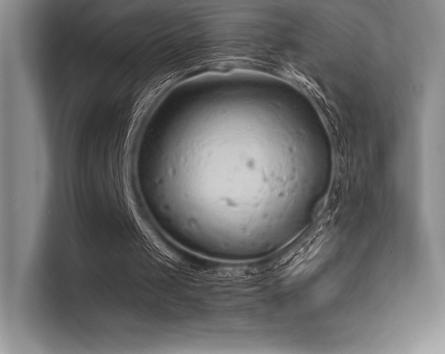 X0000112420049200908141419