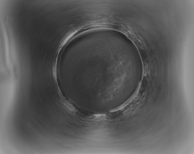X0000112420052200908141419