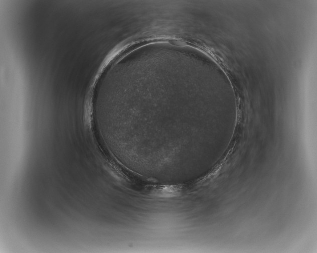 X0000112420056200908141419