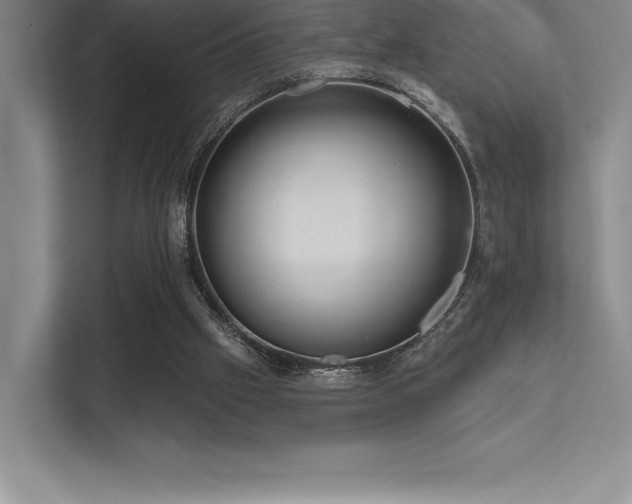 X0000112420057200908141419