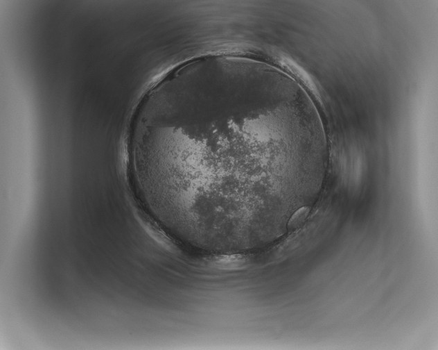 X0000112420059200908141419