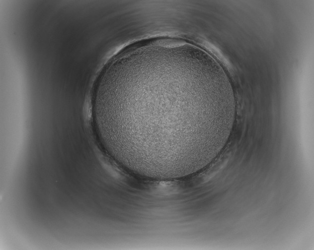 X0000112420060200908141419