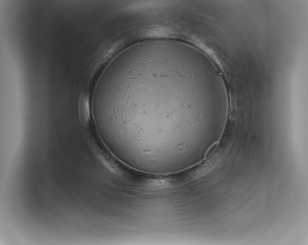 X0000112420061200908141419