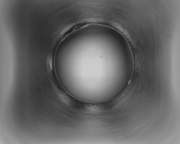 X0000112420062200908141419