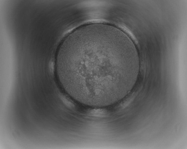 X0000112420063200908141419